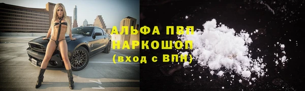 2c-b Бородино