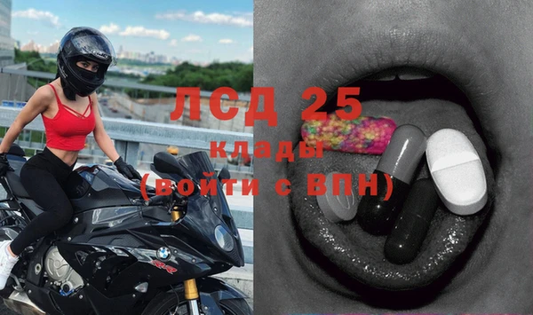 2c-b Бородино
