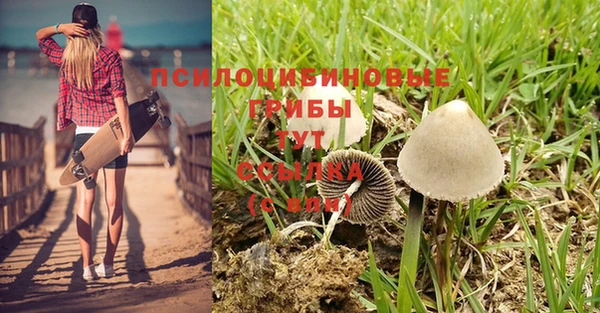 трава Бугульма