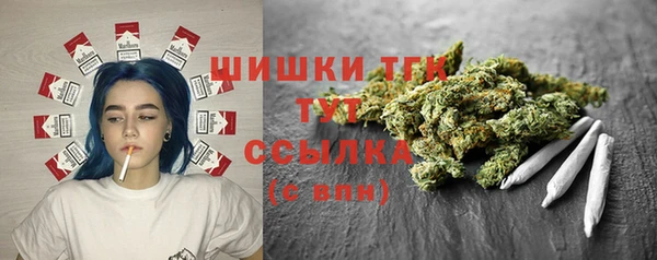 2c-b Бородино