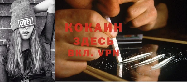 2c-b Бородино