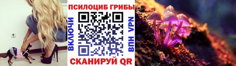 Галлюциногенные грибы мицелий  Новый Уренгой 